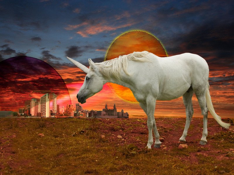 178 - unicorn world - CORNISH Tremaine A O - united kingdom.jpg